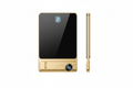 Bolt Charger Gold - Flat Layout